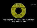 Terry Knight & The Pack - How Much More