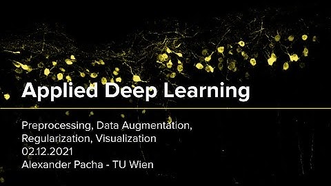 Applied Deep Learning 2021 - Lecture 9 - Preprocessing, Augmentation, Regularization, Visualization