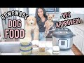 VET APPROVED HOMEMADE + HEALTHY DOG FOOD RECIPE | COOKING FOR YOUR DOG | PART 2