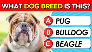 Guess the Dog Breed 🐶❓ | Dog Lovers Quiz