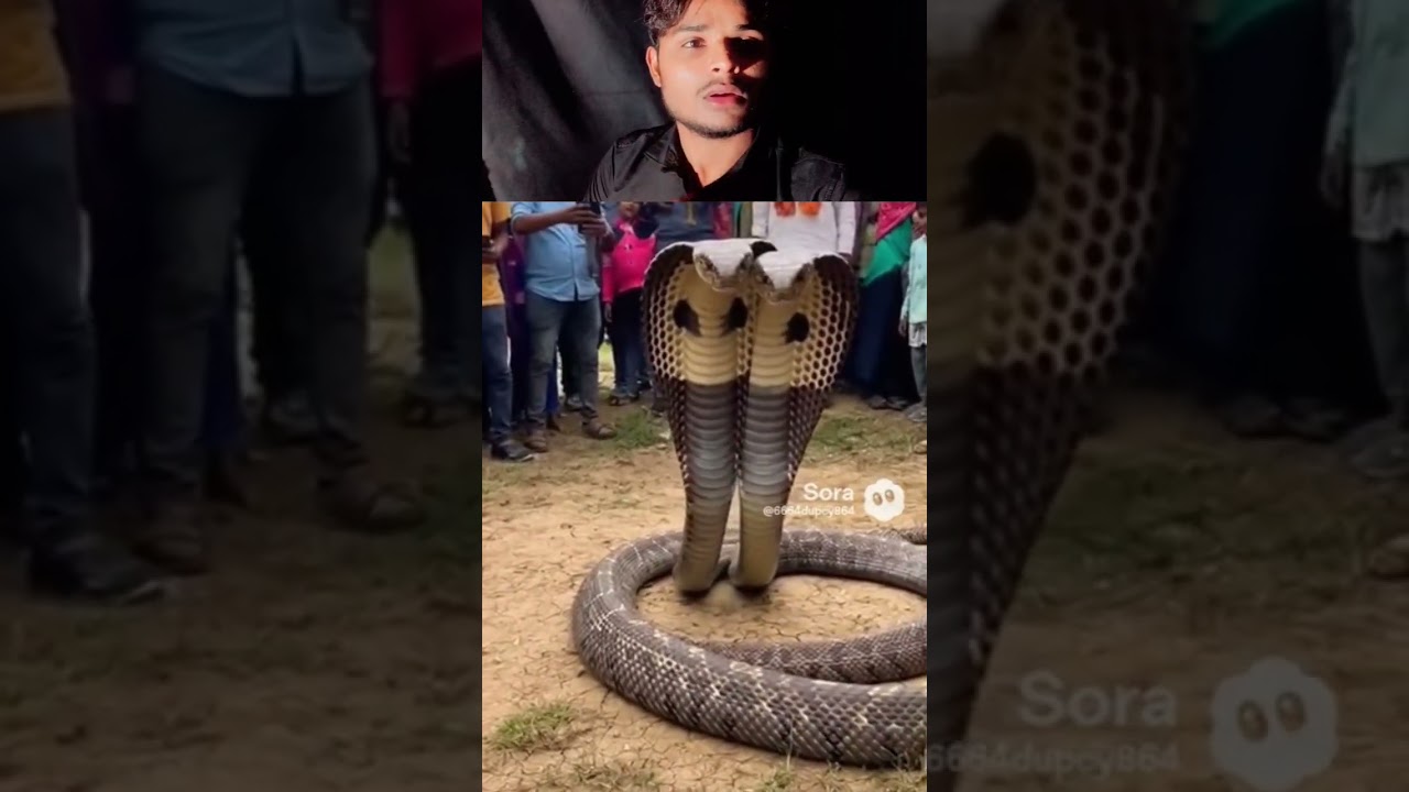 AI visuals created by me using Sora | My own reaction & voiceover | For entertainment purposes only