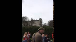 Dunrobin Castle - Falconry - The Falcon (low flying)