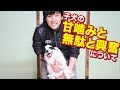 子犬の甘噛み無駄吠えと興奮の話。最初の1~2年の接し方でその後の楽しさが変わる。