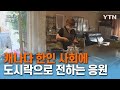 지역 한인 사회에 온기 나누는 사랑의 도시락 [글로벌코리안] / YTN korean