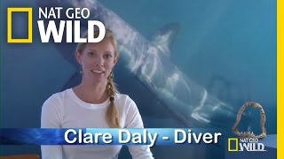 Q&A: Protected Species | Shark Attack Experiment Live!