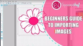 Beginners Guide to Importing Images into Silhouette Studios