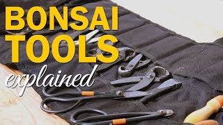 Bonsai Tools Explained : Types and Uses for working with your bonsai tree.