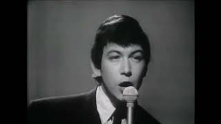 The Animals - Bring It Back Home To Me   (Us Tv, 1965)