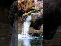 Waterfall Sound Indah #asmr #watersounds #asmrindonesia #trending