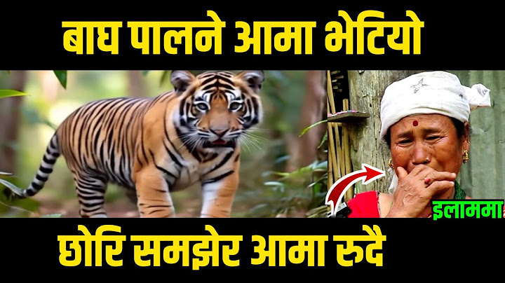 बाघ पालने छेत्रिनि आमा इलाममा भेटियाे || छाेरि जस्तै समजेर आमा रुदै || Tiger Video.