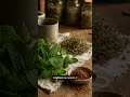 Чабрец: тихий пряный тон