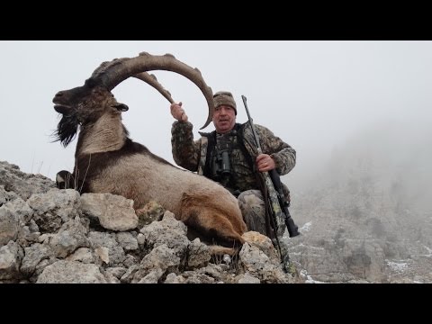 BEZOAR IBEX HUNTING YABAN KEÇİSİ AVI OKAY BARAN RECEP ECER