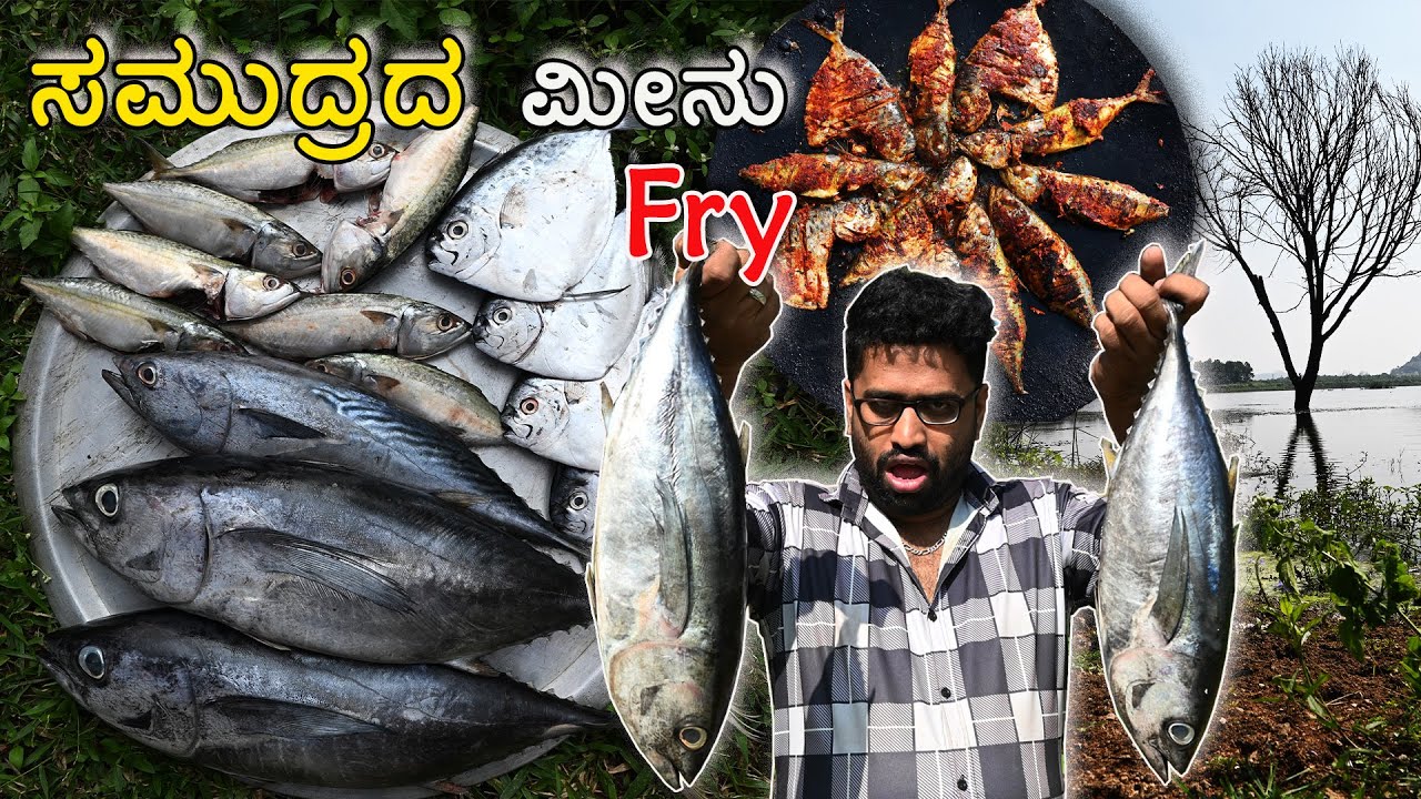 ಸಮುದ್ರದ ಮೀನು 🦈🌶️🤤 | Sea Fish🦈🌶️🤤 - YouTube