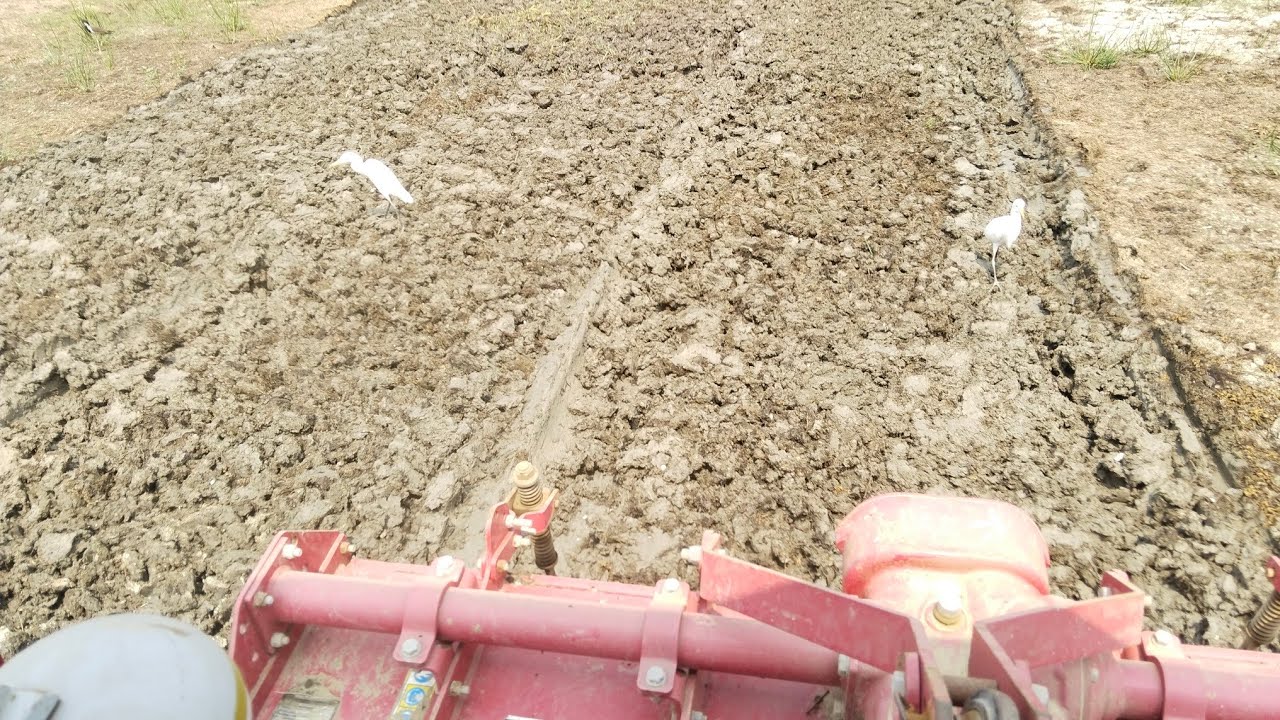 Abhishek Rajput AS 6170 लाइव है!