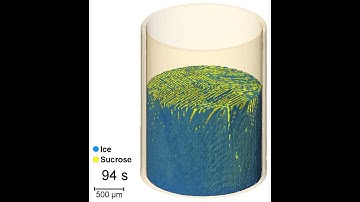 Structure formation during freeze casting filmed in 3D and real time