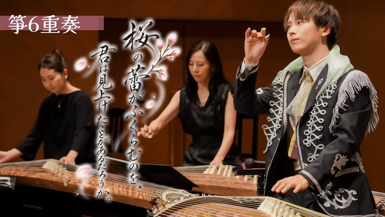Koto Sextet New Song] 🌸Have you ever looked up to see the cherry