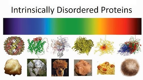 Protein Science: Making sense of intrinsic disorder when PDB structures disagree