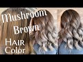MUSHROOM BROWN HAIR TREND | Formulation For The Perfect Ashy Brown
