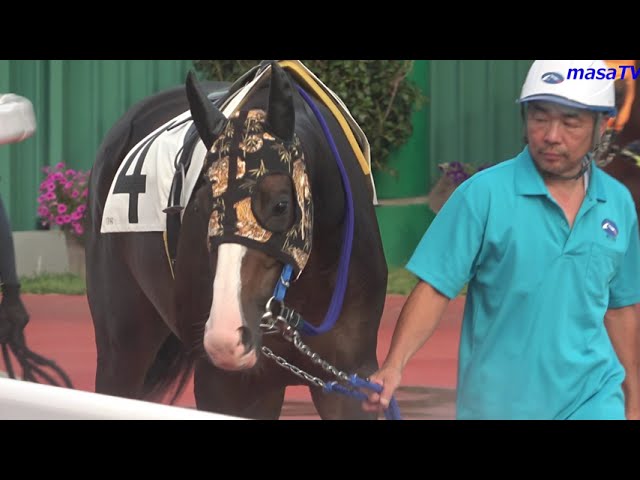 第35回ジャパンカップ（GⅠ）優勝馬ショウナンパンドラ号＆池添