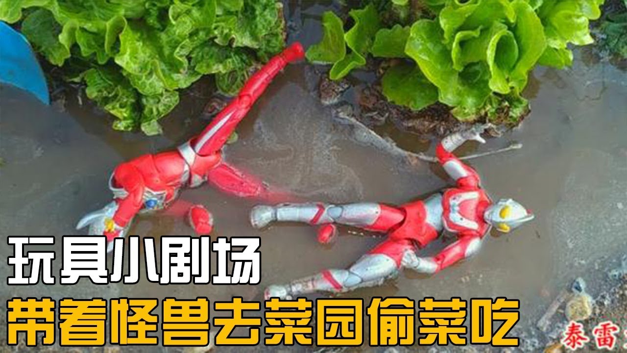 玩具小剧场，贝利亚带着怪兽去菜园偷菜吃，还用大水冲倒了奥特曼