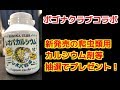 ポゴナクラブ新発売のカルシウムパウダープレゼント！