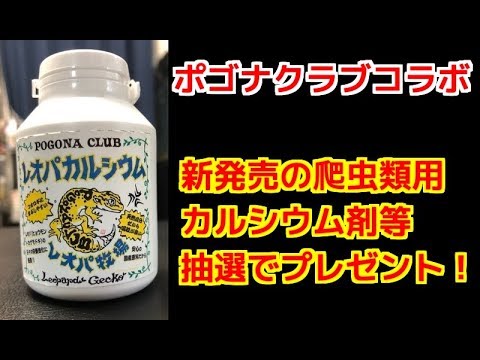 ポゴナクラブ新発売のカルシウムパウダープレゼント！