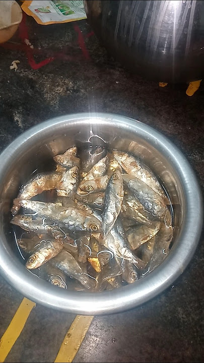 miniv|og                                                    malaikku lathama |atha vassu barunka👌👌