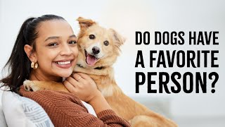 How Do Dogs Choose Their Favorite Person?