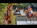 Robin Hood & Galante zijn in topvorm bij eventing Geffen ✰vlog 94✰