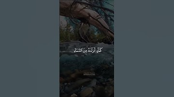 تلاوة مبكية وهادئة | سورة الكهف بصوت عبد الرحمن ناجي محاكاة اللحيدان - من مسجد حي الخالدية بالرياض