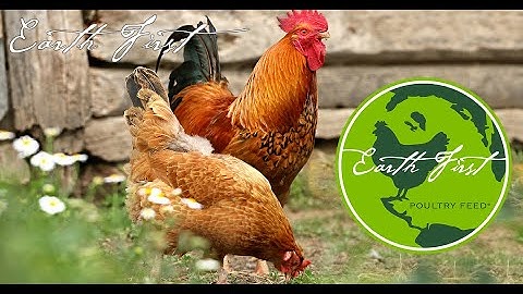 All About Earth First Poultry Feed