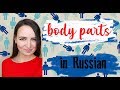 #33 Body parts in Russian | Pronunciation Lesson | Vocabulary