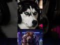 EDM mix - We don’t belong anymore - short