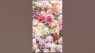 القرآن الكريم