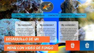 Pagina web  con video de fondo, en HTML y CSS