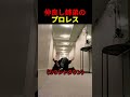 仲良し姉弟のプロレス