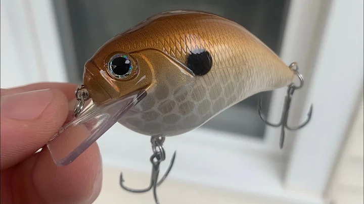 Lure Painting Shad Pattern Ep. 2