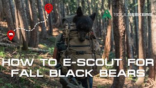 E-Scouting For Fall Black Bear