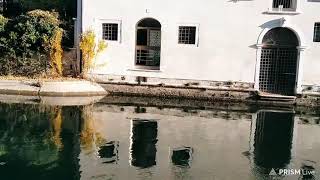 Some wonders of venice// nature and beauty//vlogmas 2020 by Chizzy Nwadike 328 views 3 years ago 2 minutes, 55 seconds