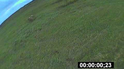 DVR RAW // Short Lap training // SS2204@4S