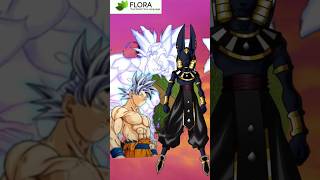 Black Beerus Vs Goku Ultra Instinct