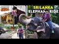 Feeding Elephant - Elephant Orphanage in Srilanka - Irfan&#39;s View