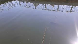 May , 2020 Hot fishing spots around hamilton