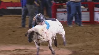 Mutton Bustin' highlights from the San Antonio Rodeo, February 19
