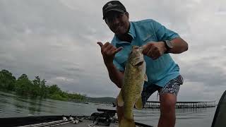 Summertime Smallmouth on Table Rock Lake Part 2