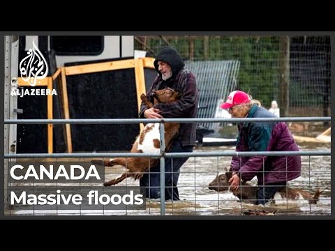 Thousands remain stranded
