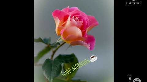 Fun with tux paint-Grade 3