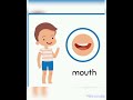 اجزاء الجسم بالإنجليزيةParts Of The Body كتابة ونطق اجزاء الجسم بالإنجليزيةParts Of The Body كتابة ونطق