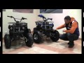 Видео обзор квадроцикла Comman ATV 125сс Hamer Lux