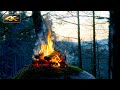 Feu de camp en fort au coucher du soleilmagnifique paysage naturel pour se dtendre